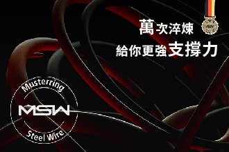 德國原裝MSW鋼線彈簧